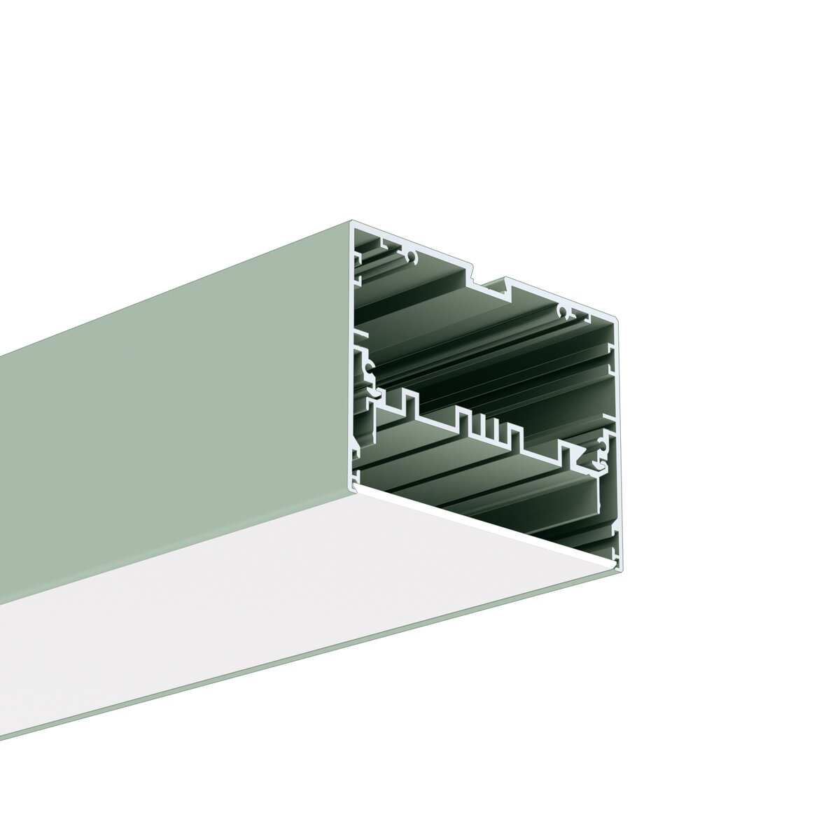 Profil MOD-100, lackiert, Salbei hell (NCSS2010-G50Y) – Produktbild